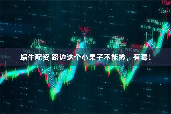 蜗牛配资 路边这个小果子不能捡，有毒！
