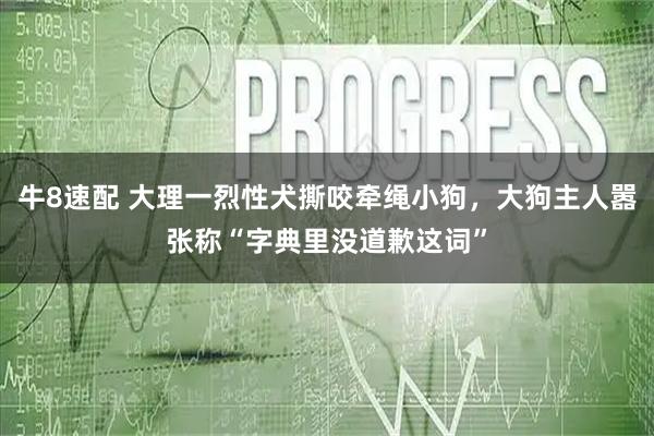 牛8速配 大理一烈性犬撕咬牵绳小狗，大狗主人嚣张称“字典里没道歉这词”